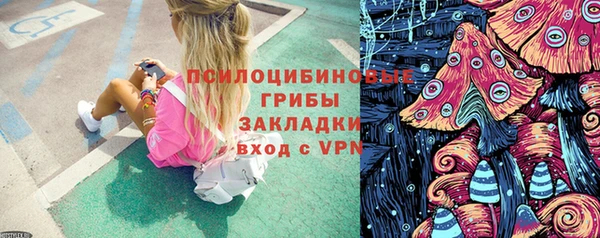 ГАЛЛЮЦИНОГЕННЫЕ ГРИБЫ Касимов