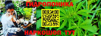 дмт Нарткала