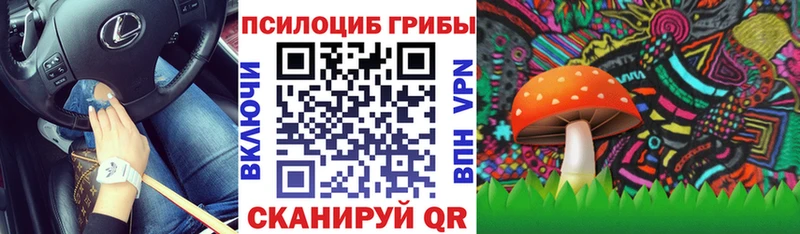 MEGA маркетплейс  Кондопога  Псилоцибиновые грибы прущие грибы 
