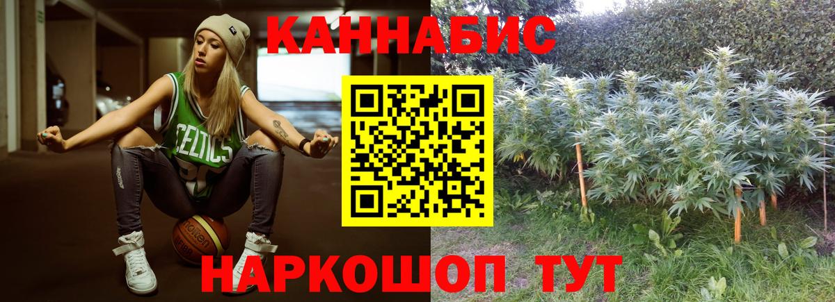 Кондопога  Канабис OG Kush  Бошки марихуана Ganja  Бошки Шишки план  Вход с VPN  Шишки марихуана семена 